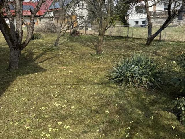 Haus kaufen in Pichling bei Köflach, Köflach