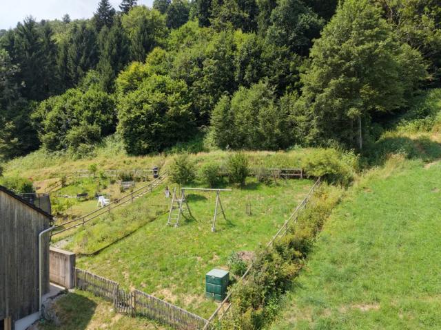 Haus kaufen in Vorarlberg
