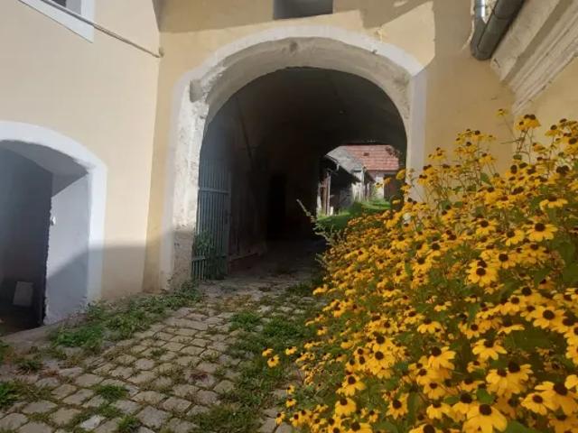 Haus kaufen in Langenlois, Niederösterreich