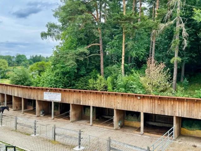 Haus kaufen in Strasshof an der Nordbahn, Niederösterreich