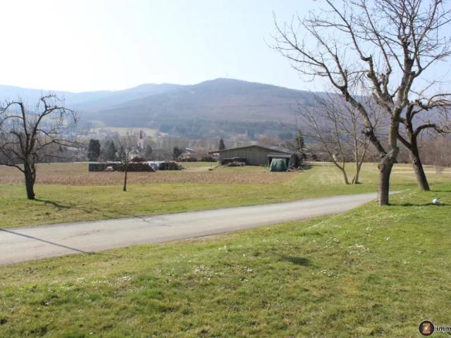 Haus kaufen in Mannersdorf an der Rabnitz, Burgenland