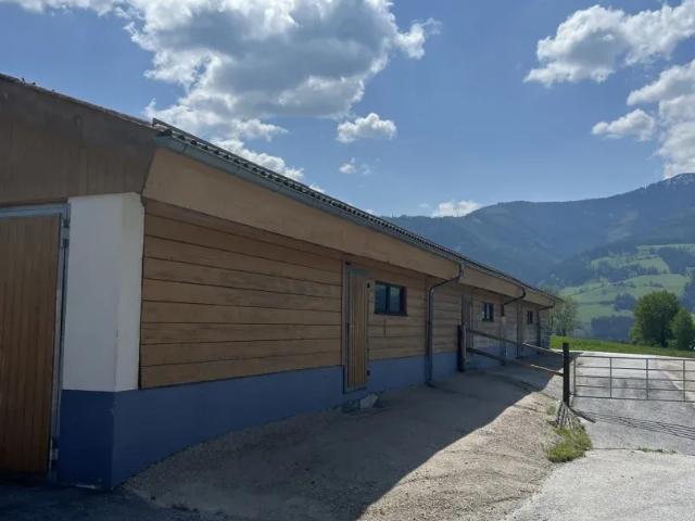 Haus kaufen in Burgauberg-Neudauberg, Burgenland