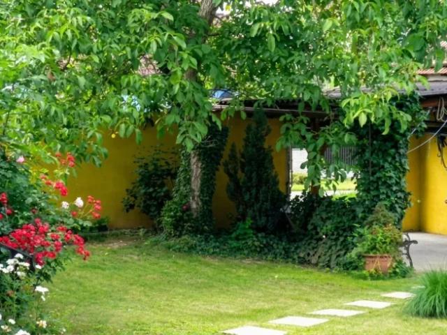 Haus kaufen in Mollands, Schönberg am Kamp