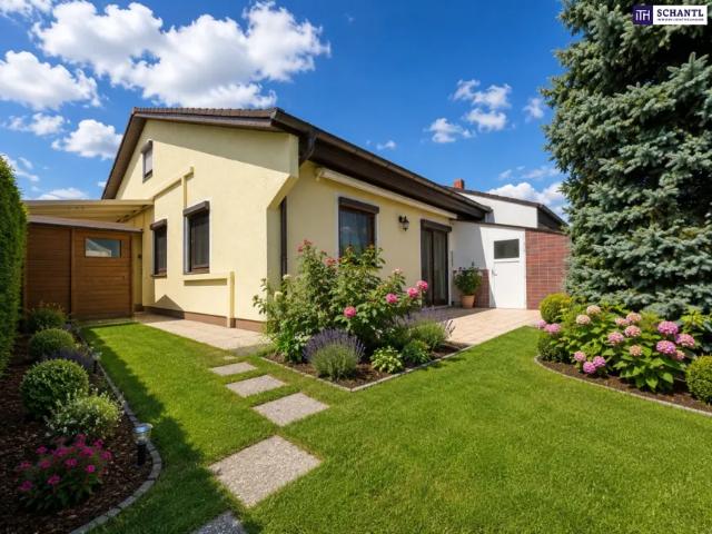 Haus kaufen in Münchendorf, Niederösterreich