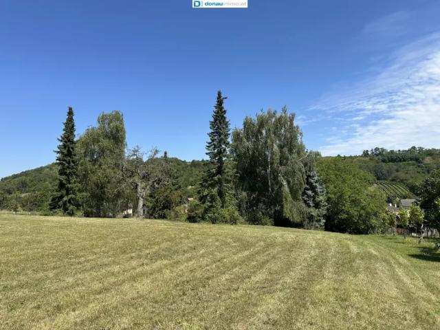 Haus kaufen in Wolkersdorf im Weinviertel, Niederösterreich