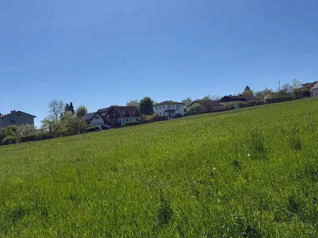 Haus kaufen in Neuhofen an der Krems, Oberösterreich