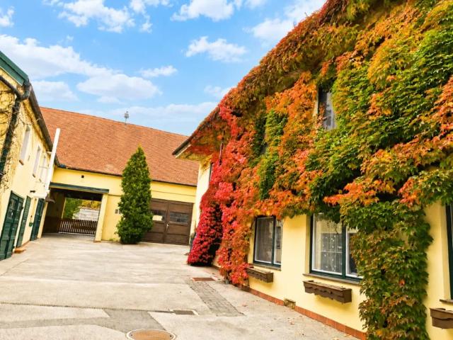Haus kaufen in Neunkirchen, Niederösterreich