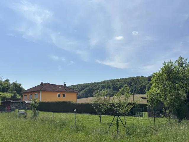 Haus kaufen in Burgenland