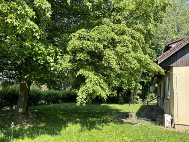 Haus kaufen in Neustift bei Güssing, Bezirk Güssing