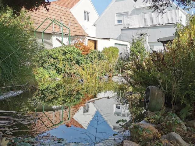 Haus kaufen in Neutal, Burgenland