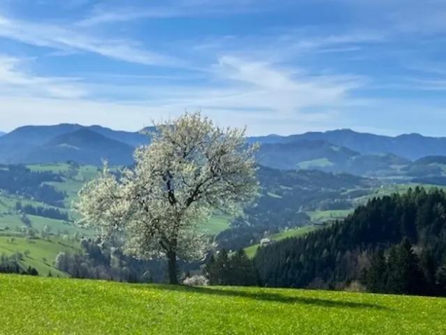 Haus kaufen in Oberndorf an der Melk, Niederösterreich