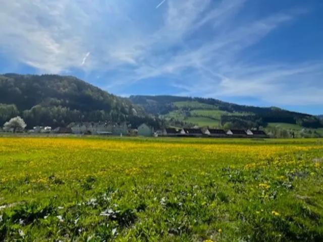 Haus kaufen in Oberndorf an der Melk, Niederösterreich