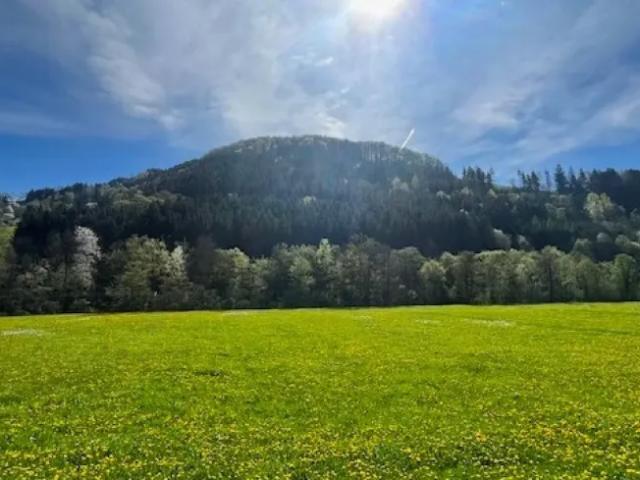 Haus kaufen in Oberndorf an der Melk, Niederösterreich