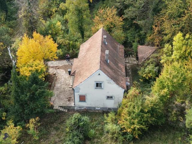 Haus kaufen