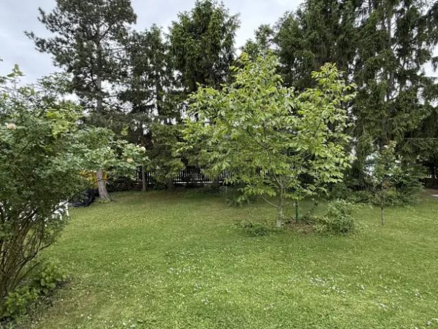 Haus kaufen in Pottendorf, Niederösterreich