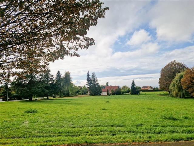 Einfamilienhaus kaufen in Prilly, Waadt