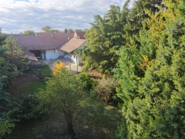 Haus kaufen