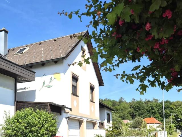 Haus kaufen in Ritzing, Burgenland
