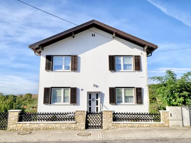 Haus kaufen in Ritzing, Burgenland
