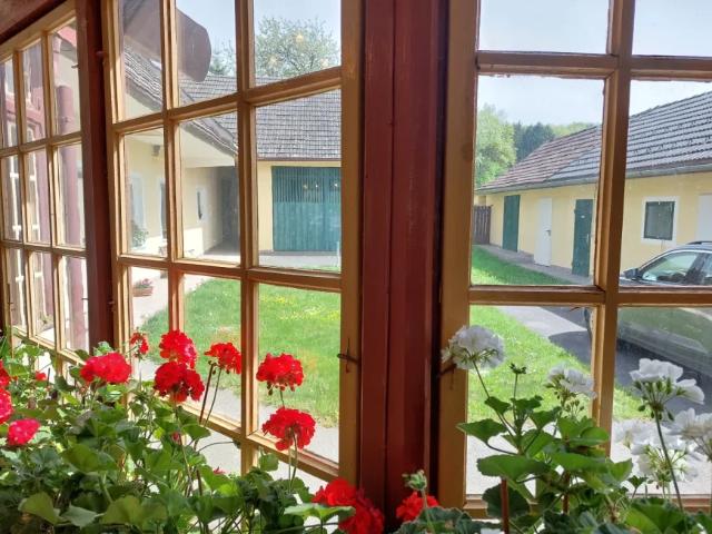 Haus kaufen in Deutsch Kaltenbrunn, Burgenland