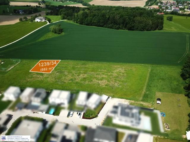 Haus kaufen in Ruhstetten, Katsdorf