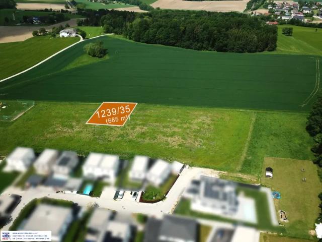 Haus kaufen in Ruhstetten, Katsdorf