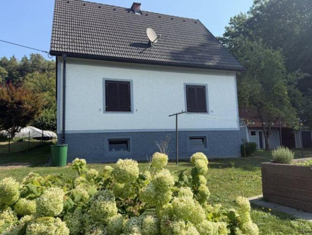 Haus kaufen in St. Stefan im Rosental, Steiermark