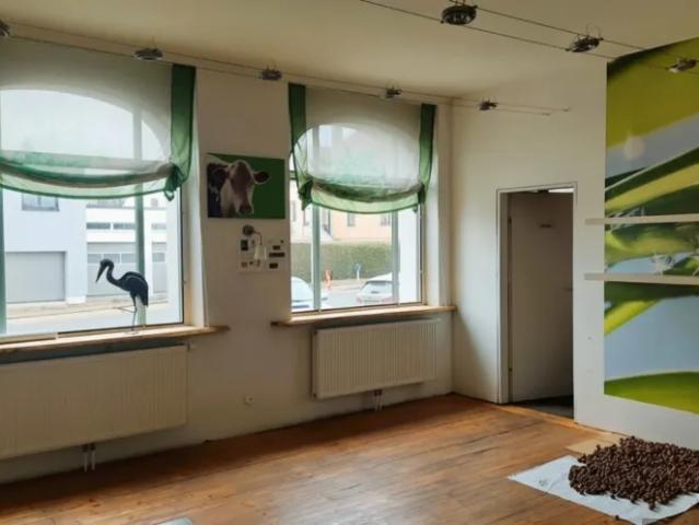 Haus kaufen in Schwarzenau, Niederösterreich