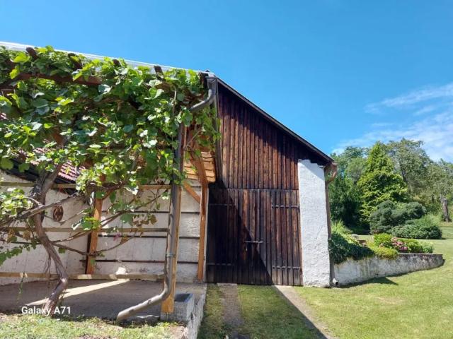 Haus kaufen in Katastralgemeinde Senftenberg, Senftenberg