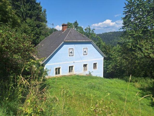 Haus kaufen in Wölzing - Sankt Andrä, Kärnten