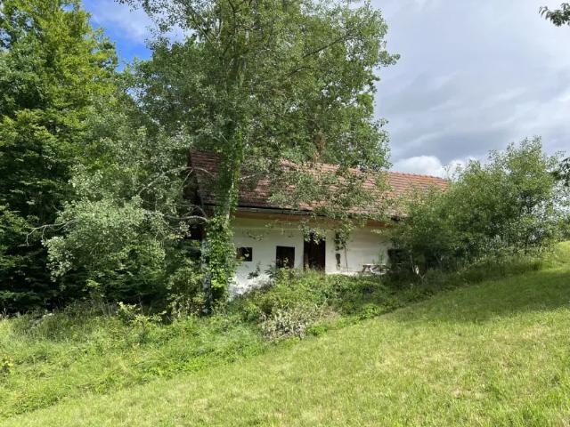 Haus kaufen in Sumetendorf, Strem