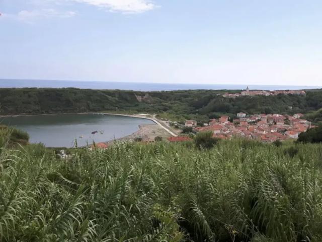 Haus kaufen