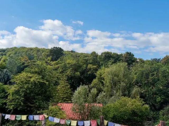 Haus kaufen in Katastralgemeinde Tulbing, Tulbing