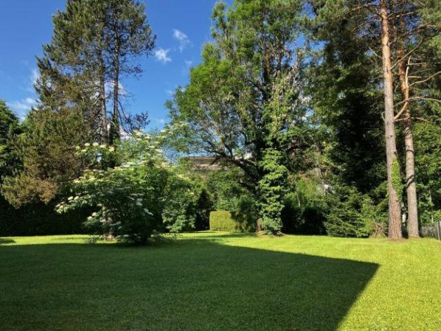 Haus kaufen in Türnitz, Niederösterreich