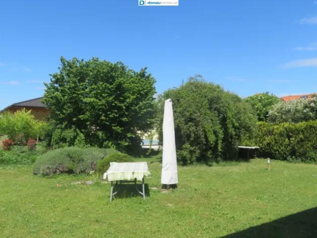 Haus kaufen in Maissau, Niederösterreich