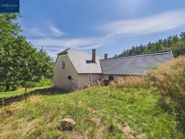 Haus kaufen in Waldkirchen an der Thaya, Bezirk Waidhofen an der Thaya