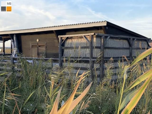 Haus kaufen in Weiden am See, Bezirk Neusiedl am See