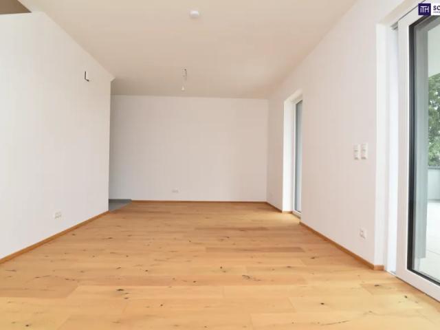 Haus kaufen in Weiz, Steiermark