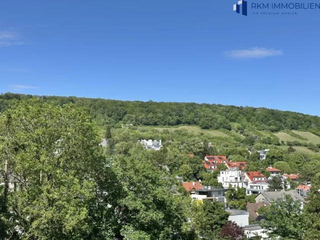 Haus kaufen in Döbling, Wien