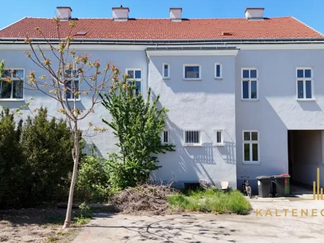 Haus kaufen in Donaustadt, Wien