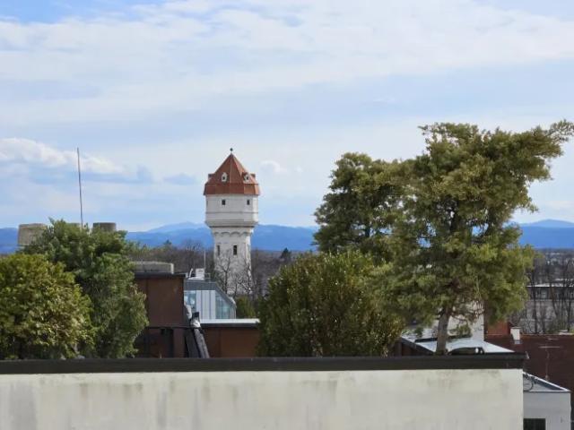 Haus kaufen in Wiener Neustadt, Niederösterreich