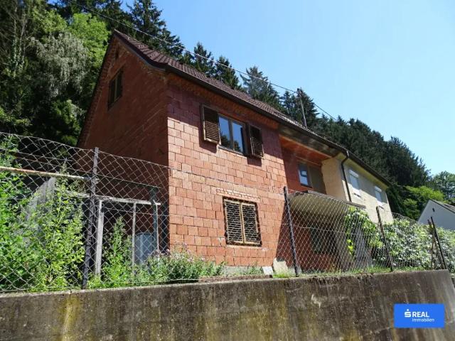Haus kaufen in Wolfsberg, Bezirk Wolfsberg