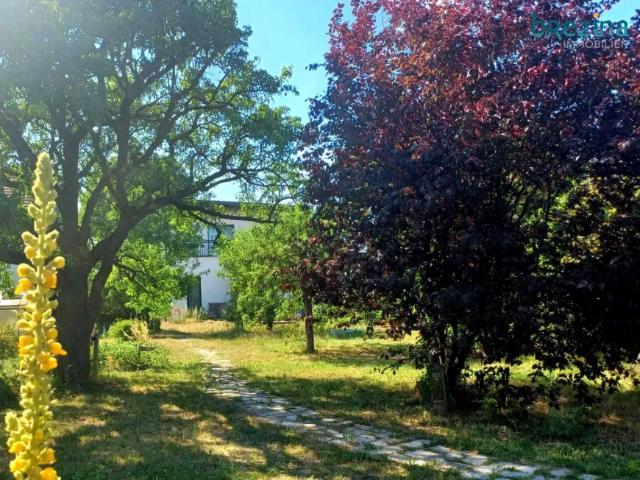 Haus kaufen in Wolkersdorf im Weinviertel, Niederösterreich