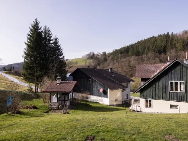 Haus mieten in Frankenfels, Niederösterreich