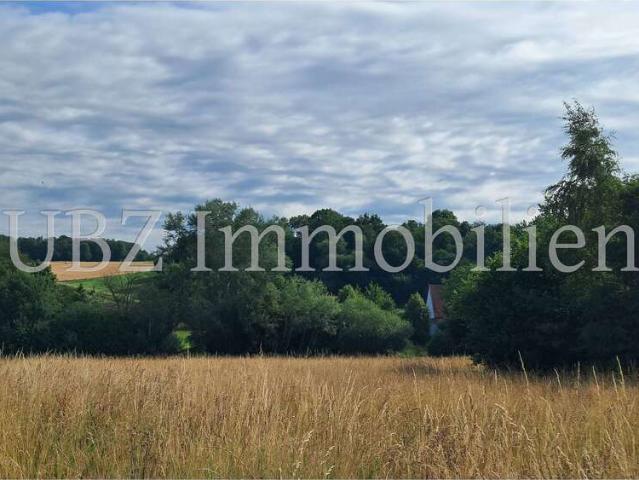 Haus kaufen in Alzenau, Bayern