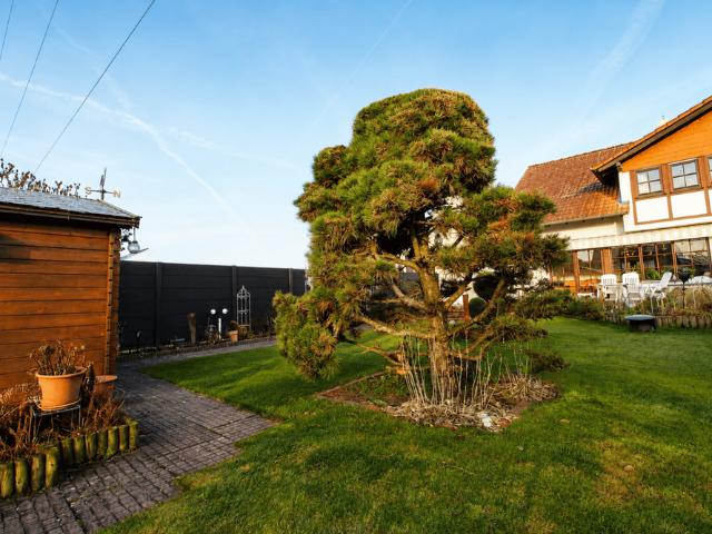 Haus kaufen in Babenhausen, Hessen