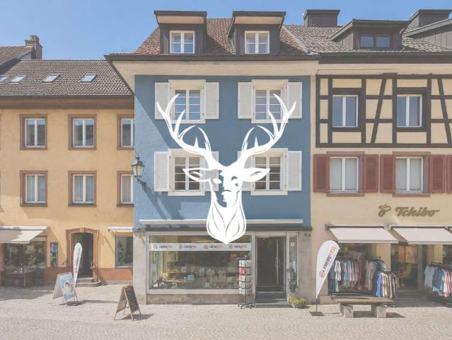 Haus kaufen in Säckingen, Bad Säckingen
