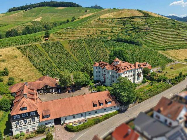 Haus kaufen in Rebland, Baden-Baden
