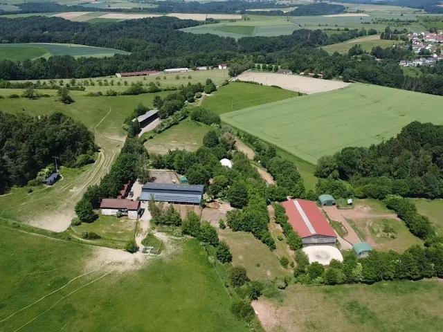 Haus kaufen in Battweiler, Rheinland-Pfalz