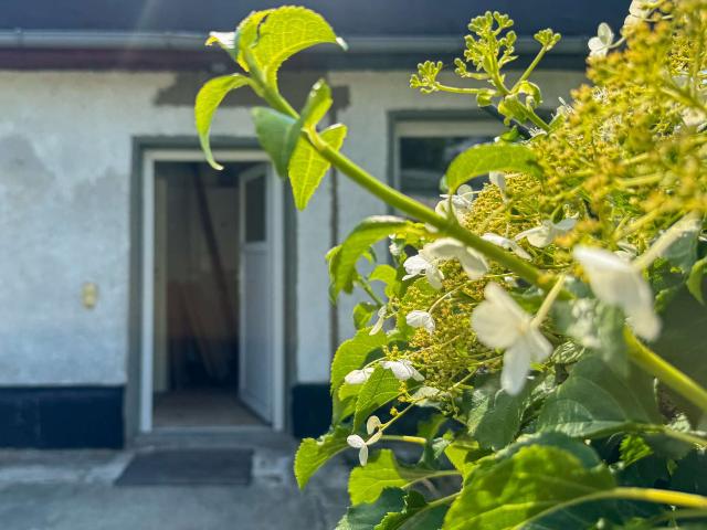 Haus kaufen in Pankow, Berlin